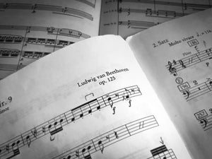 Ludwig van Beethoven - Moonlight Sonata Mvt.1 (arr. for Mallet Trio)